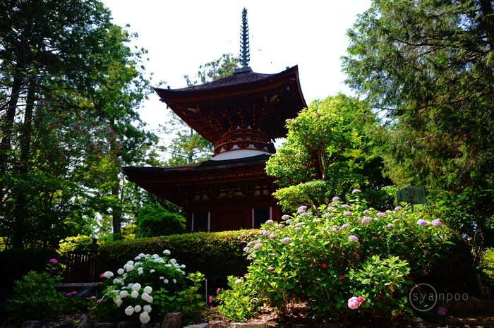 波と赤い太陽の日本画 木製フレーム付き 素敵な風景に出会いたい、秋・四季の富士山 ～前編～ | TAMRON